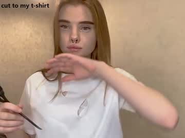 Cam for brimladdilley