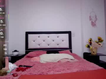 Cam for hera_elis