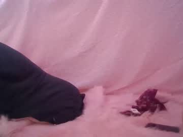 webcam tranny ivyohara cam babe image #45567