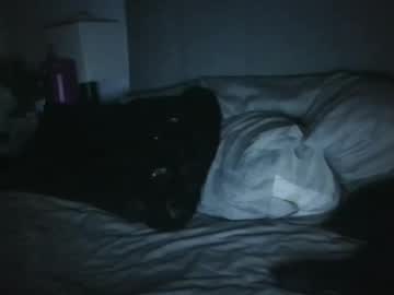 webcam girl godesscebrazil cam babe image #198435