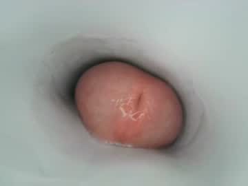 webcam man jeffrodgerschaturbat cam babe image #17047